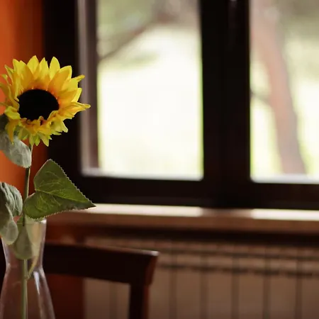 La Casa Dei Girasoli Holiday home *